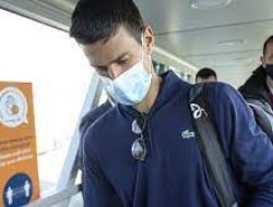 Novak Djokovic Tiba di Serbia setelah Dideportasi Australia
