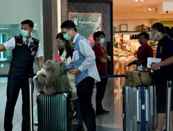 Reaksi Pelaku Pariwisata terhadap Pengurangan Waktu Karantina PPLN