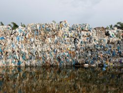 Sri Lanka Pulangkan Sampah Terakhir yang Tak Diinginkan ke Inggris