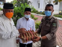 Bantu Peternak, Gubernur Sumbar Kampanyekan Gerakan Ayo Makan Telur