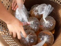 Diperbatasan, Minyak Goreng Bersubsidi Kosong