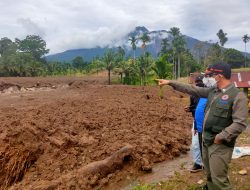 Korban Meninggal Gempa Pasaman Jadi 10 Orang, Empat Dalam Pencarian, Puluhan Ribu Mengungsi