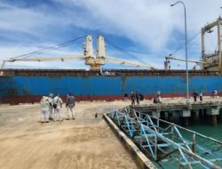 Gamindra dari Pelabuhan Teluk Tapang Pasbar Siap Penuhi Kebutuhan Biji Besi ke China