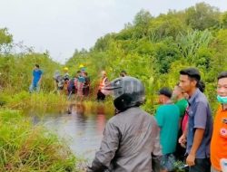 Belum Ditemukan! Karyawan Perkebunan Sawit Diterkam Buaya di Kendawangan