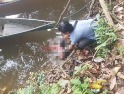 Penemuan Jasad Bayi di Sungai Jelai, Hebohkan Warga Ketapang