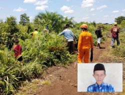 Kakek 74 Tahun Menghilang di Ladang, Tim Basarnas Lakukan Pencarian