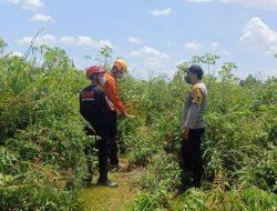 Hari Keempat Hilang di Ladang, Keberadaan Kakek 74 Tahun Masih Misterius
