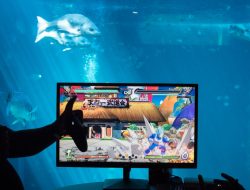 Pengembang Video Game Gali Potensi Pasar Digital Afrika yang Berkembang Pesat