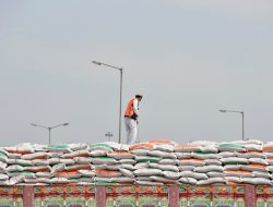 India Kirim Gandum ke Afghanistan Melalui Pakistan
