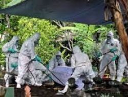 Kemenkes Klaim Tren Kasus COVID-19 Nasional Mulai Melandai