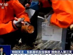 Ditemukan, Salah Satu Kotak Hitam Pesawat China Eastern