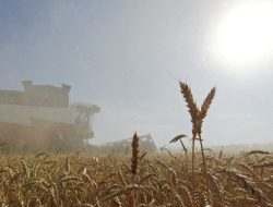 OECD: Perang di Ukraina Turunkan Pertumbuhan Ekonomi Global