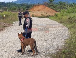 Deteksi Narkoba dan Bahan Peledak Jalur Perbatasan, Dua Ekor K9 Dikirim Ke Polsek Entikong