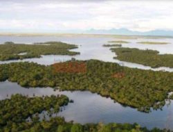 Taman Nasional Danau Sentarum Masuk 15 Danau Prioritas Menuju Ketahanan Air di Indonesia