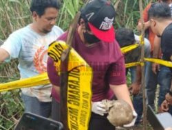 Bikin Merinding! Kerangka Anak-anak Ditemukan di Bawah Tol Semarang-Solo, Begini Kronologinya