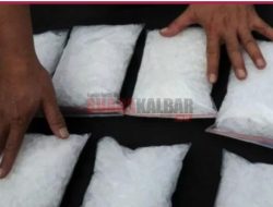 Pasutri Bandar Narkoba di Kampar Sembunyikan Ratusan Paket Sabu di Kandang Anjing