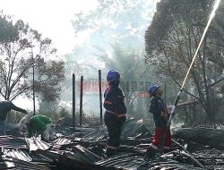 Karhutla di Kubu Raya Luluhlantakkan Satu Rumah Warga