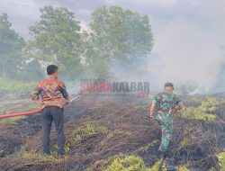 Pak Wako Edi Tinjau Kebakaran Lahan dan Ikut Padamkan Api di Jalan Sepakat 2
