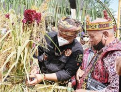 Tradisi Adat Bejujokng Sebagai Bentuk Rasa Sukur Musim Panen Padi