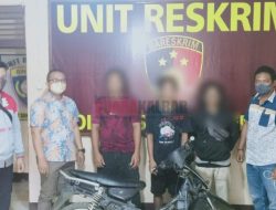 Tiga Maling Sawit Ditangkap Polisi di Sengah Temila, Landak