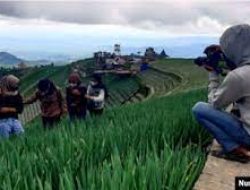 Milenial: di Ladang Gemar ‘Selfie’, Tapi Ogah Jadi Petani