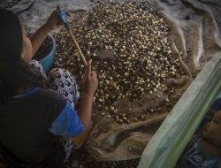 Aturan Hukum Tak Cukup Mampu Mencegah Perkawinan Anak