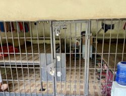 Mantan Bupati Langkat Jadi Tersangka Kasus Kerangkeng Manusia