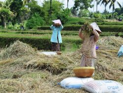 Ketersediaan Pangan Untuk Jangka Panjang