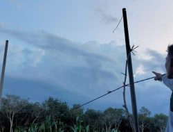 Permintaan Warga Belum Dipenuhi, Kinerja PLN Kotabumi Dipertanyakan