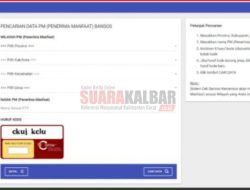 2 Cara Cek BLT Minyak Goreng via Aplikasi dan Link Cek Bansos Kemensos, Periksa Apakah Kamu Dapat Migor Gratis!