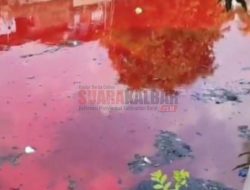 Heboh! Air Sungai di Kota Semarang Berubah Warna Merah Seperti Darah