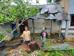 Sejumlah Rumah Warga Tertimpa Pohon Akibat Angin Puting Beliung di Landak