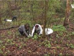 Hari Bumi Dorong Seruan Bagi Bisnis untuk Sadar Lingkungan