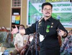 Menteri Pertanian: Antibiotik dan Kunyit Atasi Penyakit Mulut dan Kaki untuk Ternak