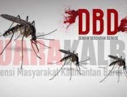 Mei, Kasus DBD di Ngabang Menurun