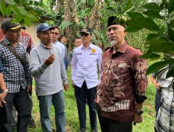 Petani Keluhkan Pupuk Subsidi, Sumbar Siapkan Pupuk Batubara