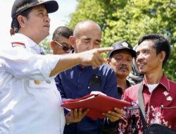 Pemkab Banyuasin Optimalisasikan Lahan Rawa Lebak di Rimba Balai Jadi Sektor Persawahan