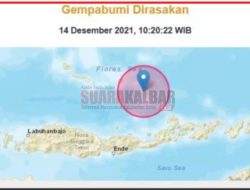 Hasil Pemodelan BMKG: Ada Potensi Gempa 7,4 di Utara Flores, Bisa Picu Tsunami 3 Meter
