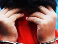 Petani Mukomuko Ditangkap Dan Ditelanjangi Oleh Polisi, Komnas HAM: Propam Harus Turun Tangan