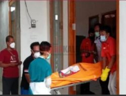 Niat Kakek Menjerat Monyet Dengan Listrik, Malah Cucu yang Tersengat Hingga Tewas