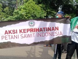 Ekspor CPO kembali Dibuka, Apkasindo Sekadau Sambut Baik Kebijakan Jokowi