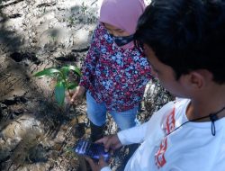 Sosok Pemuda Desa Asal Kubu Raya, Berhasil Kenalkan Mangrove Berbasis Digital