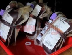 Golongan Darah O Banyak Dibutuhkan di Kota Pontianak