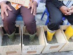 Geram Masalah PLTA Poso Tak Kunjung Usai, Petani Gelar Aksi Membeton Kaki