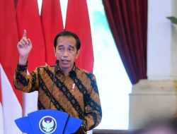 Jokowi ‘Bersih-bersih’ BUMN dengan PP Baru, Komisaris Tanggung Jawab Jika BUMN Rugi