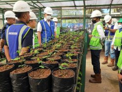 Jaga Lingkungan, Bukit Asam Bangun Botanical Garden di Lahan Bekas Tambang