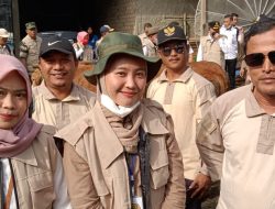 Jelang Idul Adha, Waspada Penyakit Mulut Kuku Kenali Gejalanya