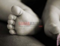 Balita 5 Bulan Tewas Sampai Membusuk, Diduga Sengaja Disembunyikan Orangtuanya di Surabaya