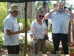 Kedutaan Inggris Kunjungi Mempawah, Lihat Lebih Dekat Restorasi Mangrove