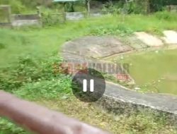 Tangan Pengunjung Diterkam Buaya di Sinka Zoo